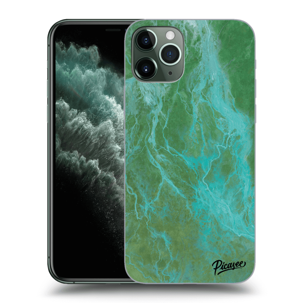 Picasee silikonowe przeźroczyste etui na Apple iPhone 11 Pro - Green marble