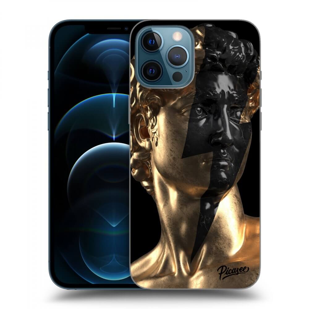 Picasee silikonowe czarne etui na Apple iPhone 12 Pro Max - Wildfire - Gold