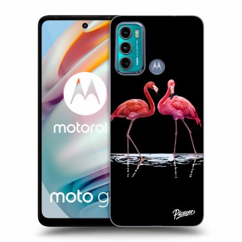 Etui na Motorola Moto G60 - Flamingos couple