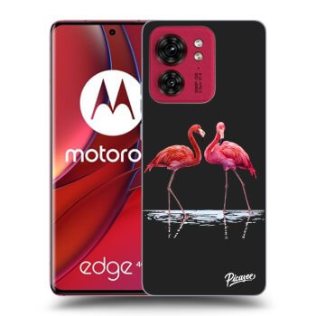 Etui na Motorola Edge 40 - Flamingos couple