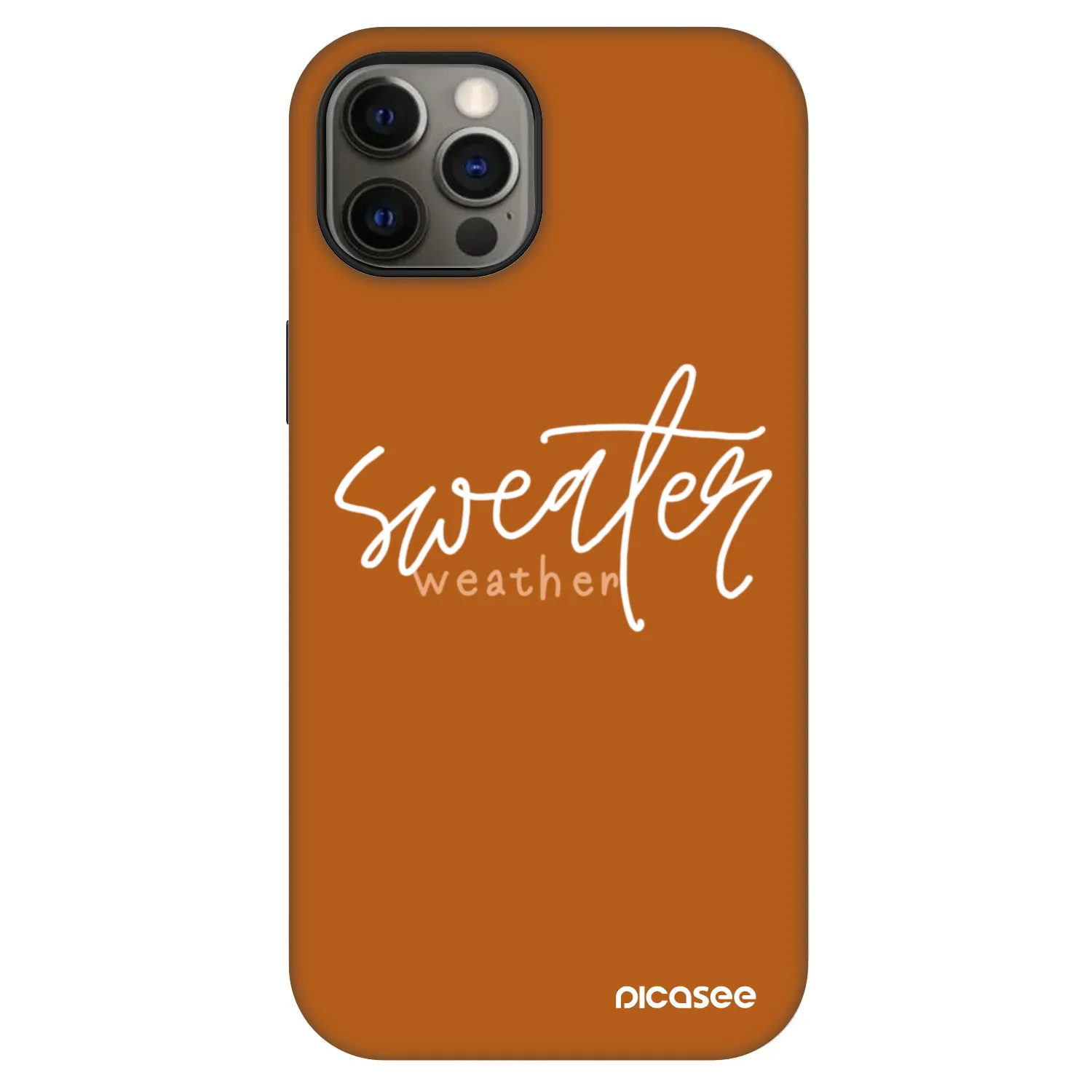 Picasee Fashion Case MagSafe na Apple iPhone 12 - Sweater weather