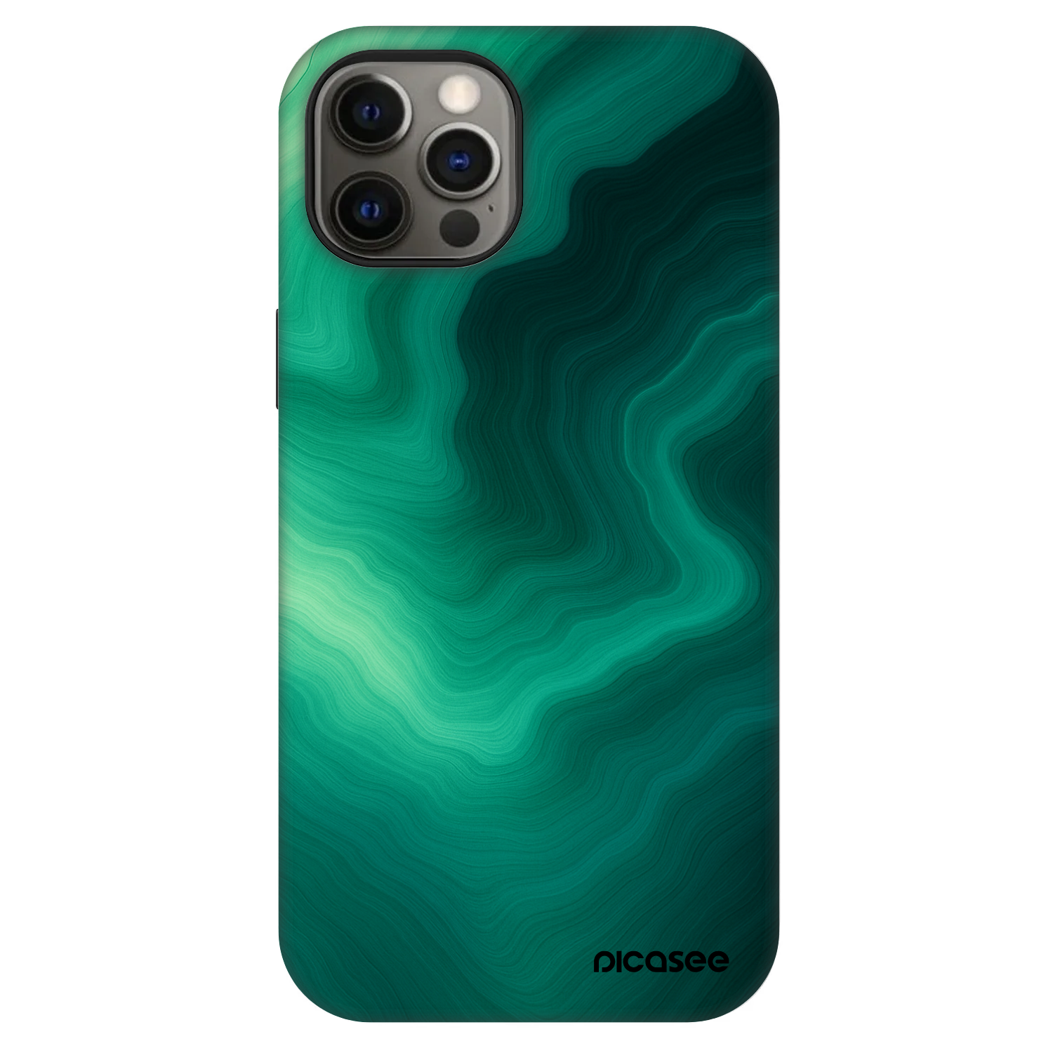 Picasee Fashion Case MagSafe na Apple iPhone 12 Pro - Malachite