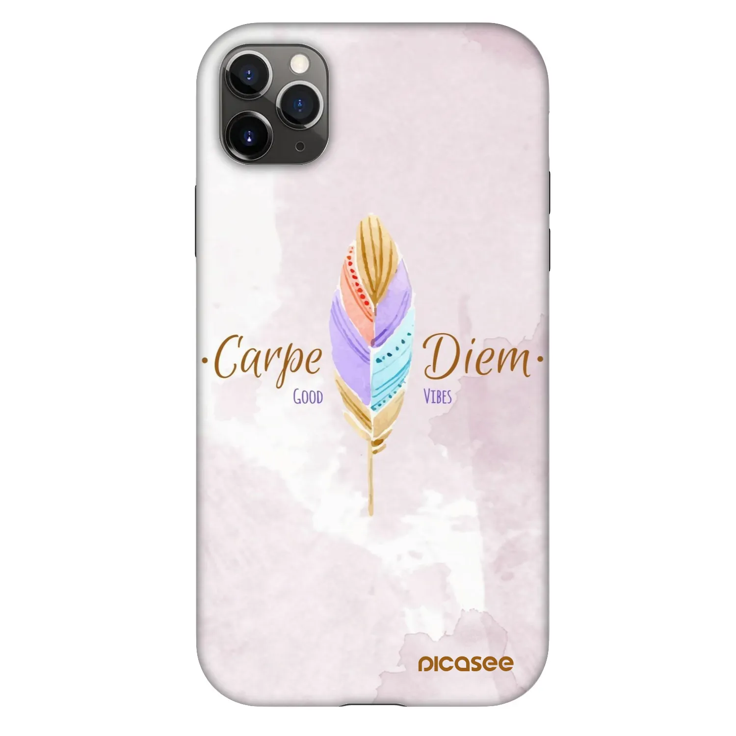 Picasee Fashion Case na Apple iPhone 11 Pro Max - Carpe Diem
