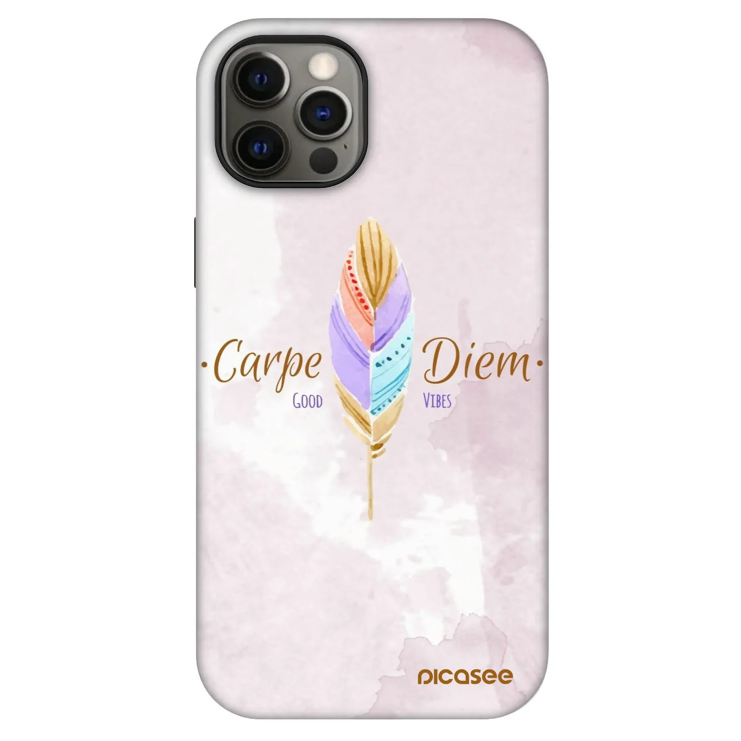 Picasee Fashion Case MagSafe na Apple iPhone 12 Pro - Carpe Diem