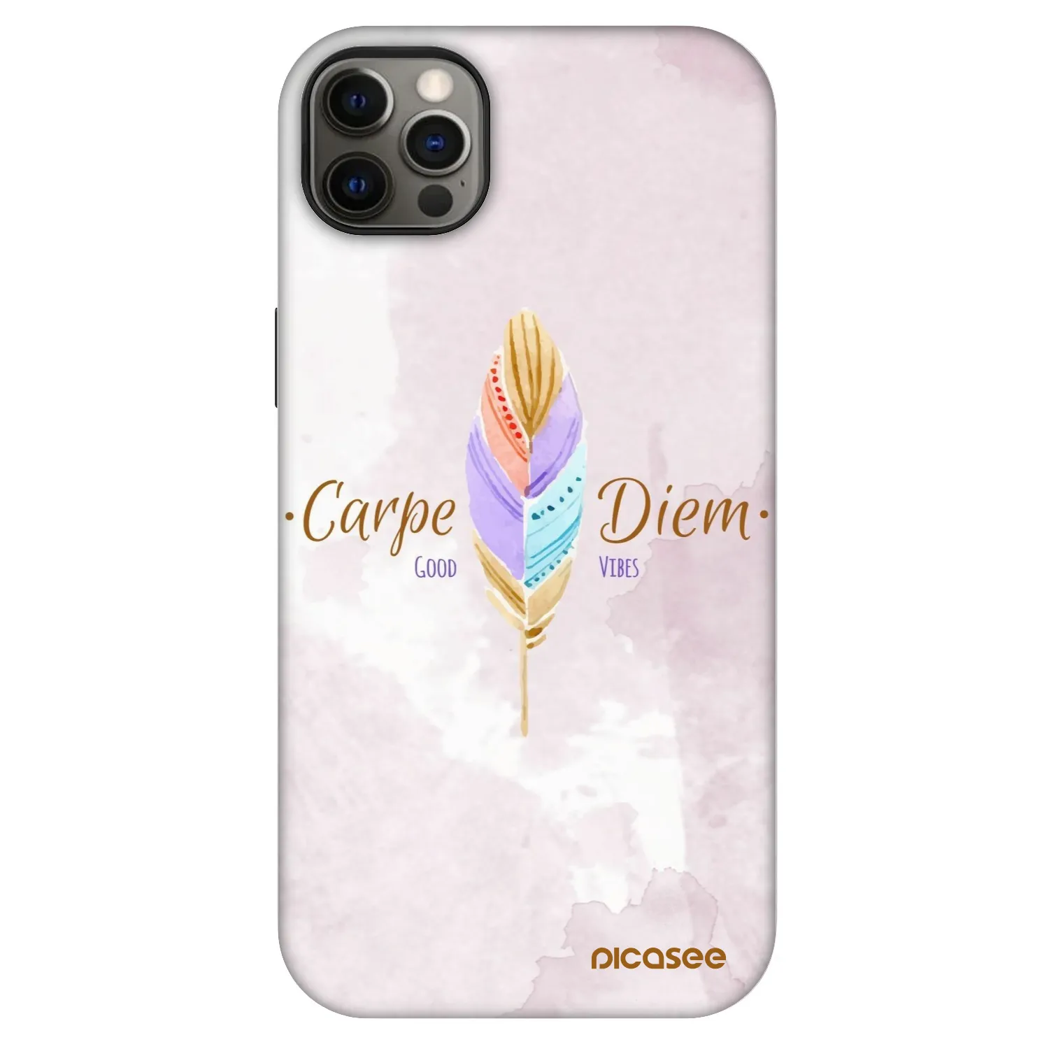 Picasee Fashion Case MagSafe na Apple iPhone 12 Pro Max - Carpe Diem