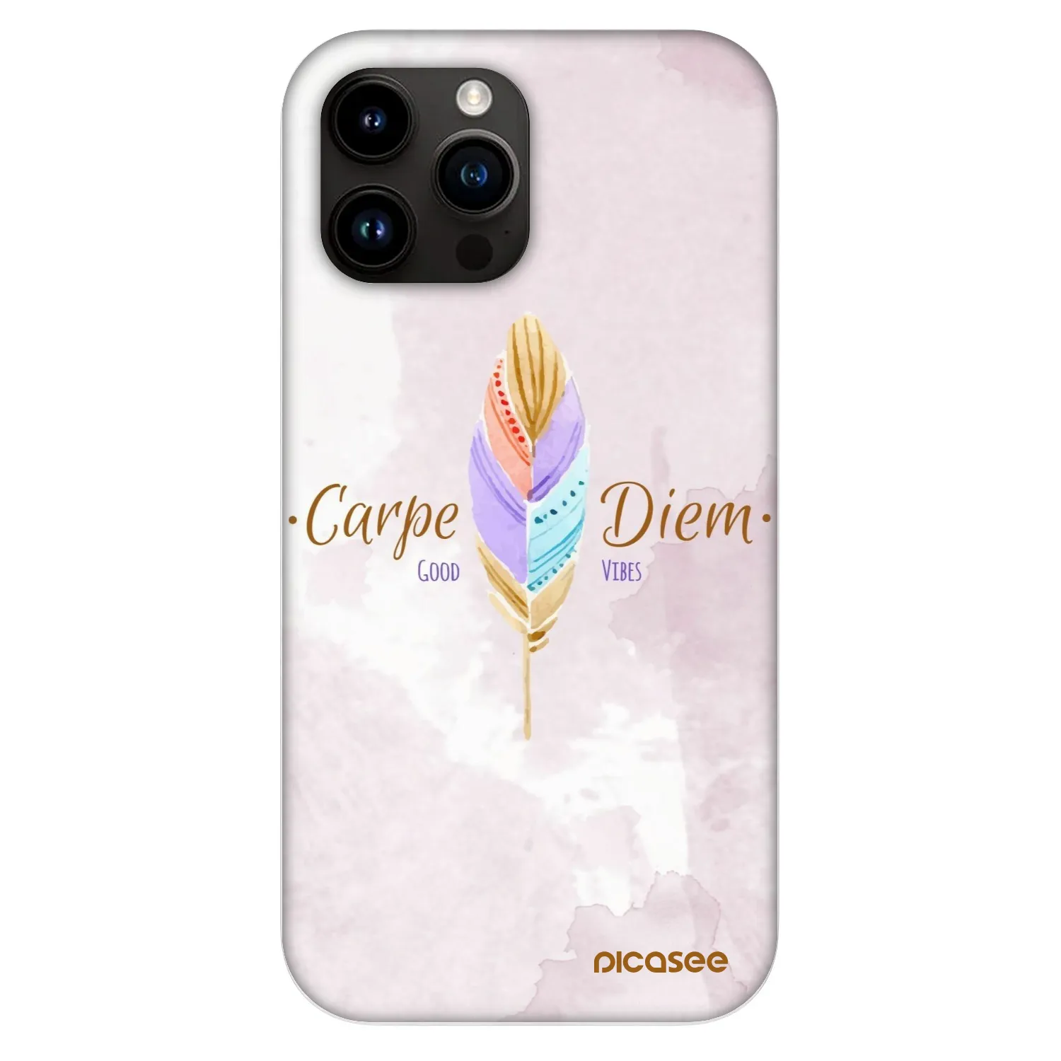 Picasee Fashion Case MagSafe na Apple iPhone 13 Pro Max - Carpe Diem