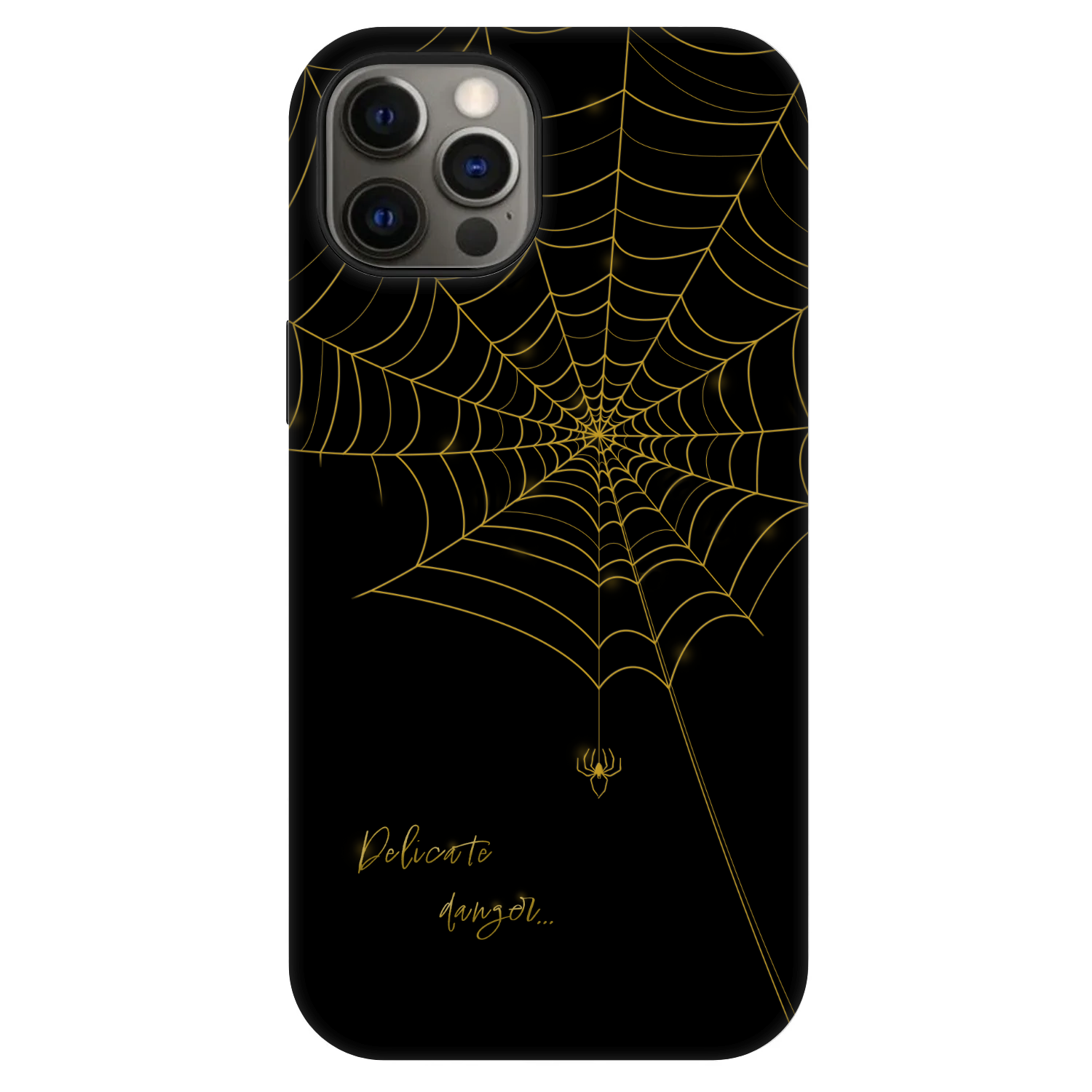 Picasee Fashion Case MagSafe na Apple iPhone 12 - Delicate danger