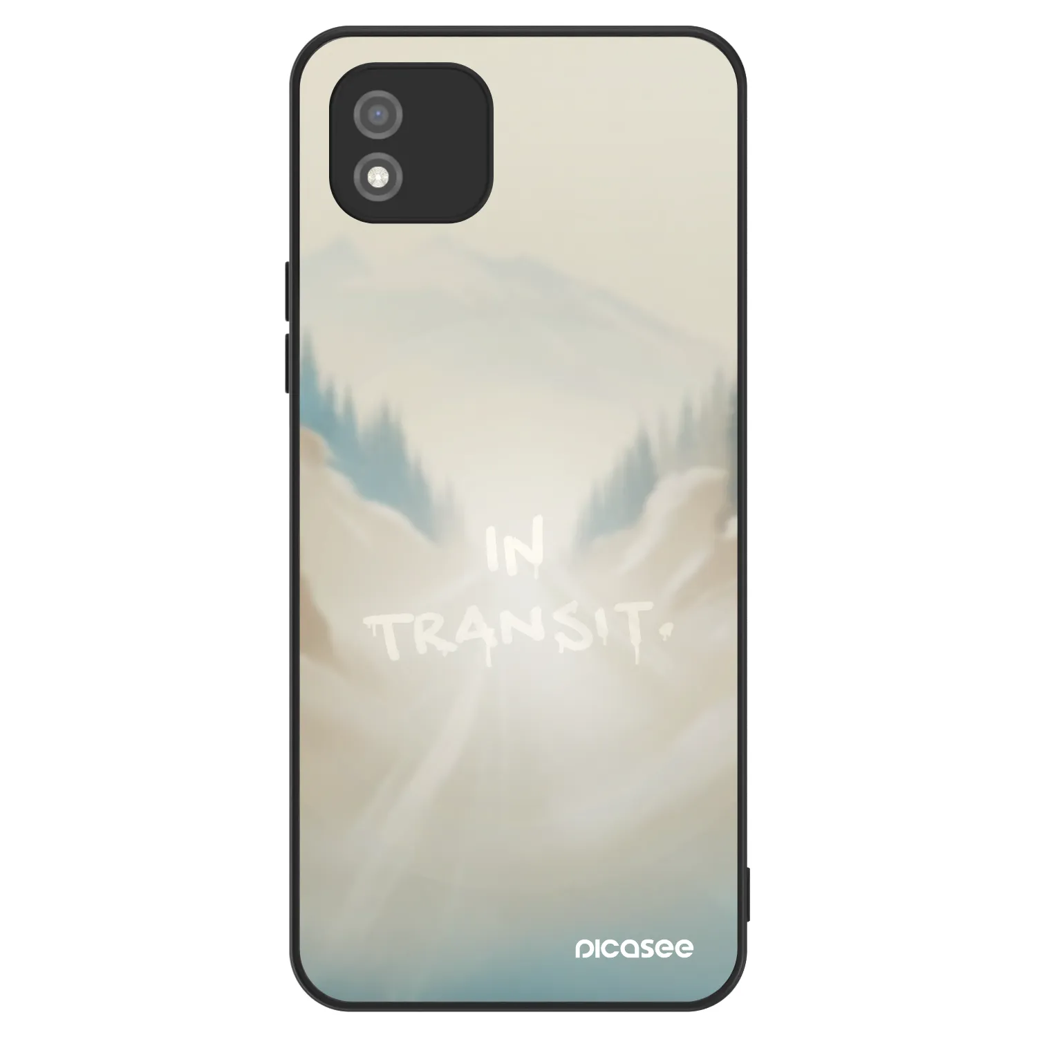 Picasee ULTIMATE CASE na Realme C11 (2021) - IN TRANSIT