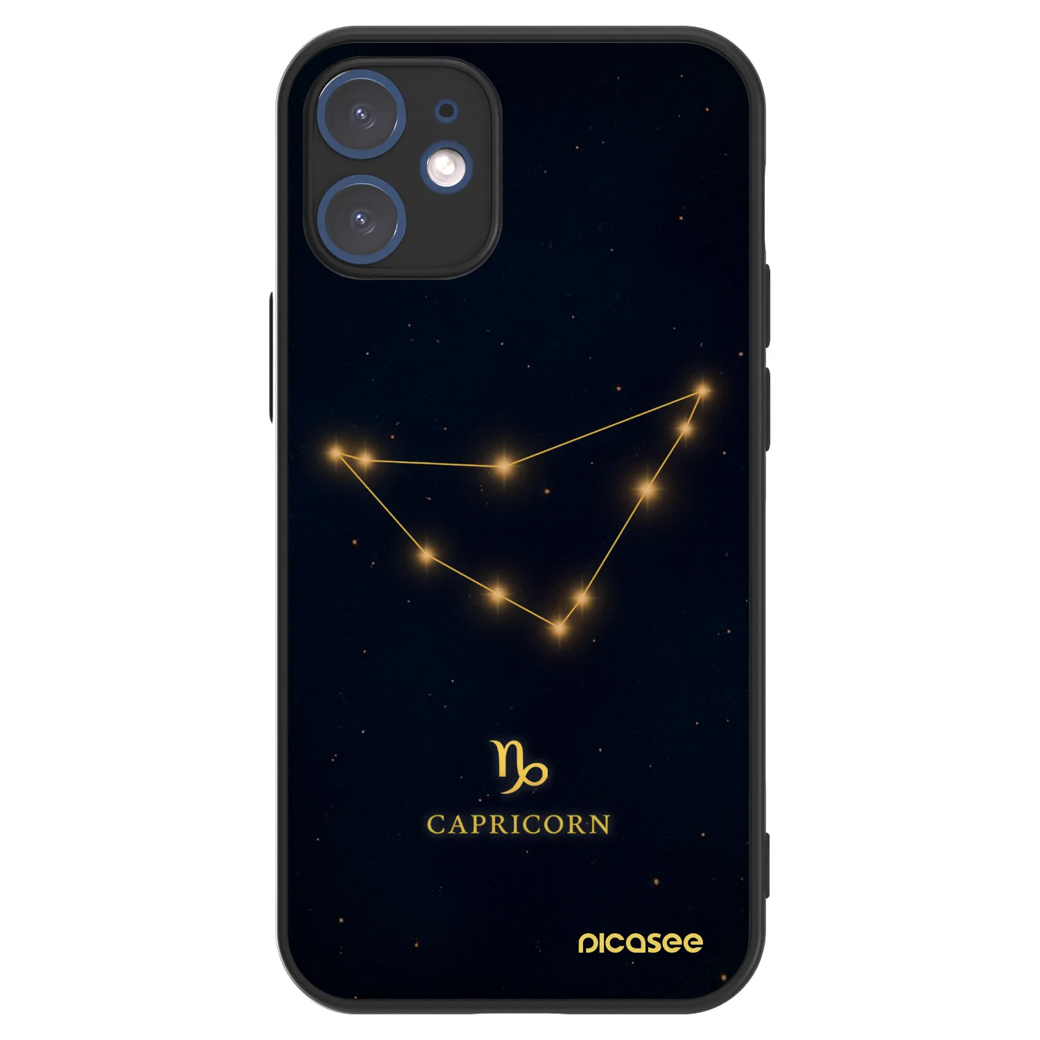 Picasee ULTIMATE CASE na Apple iPhone 12 mini - CAPRICORN