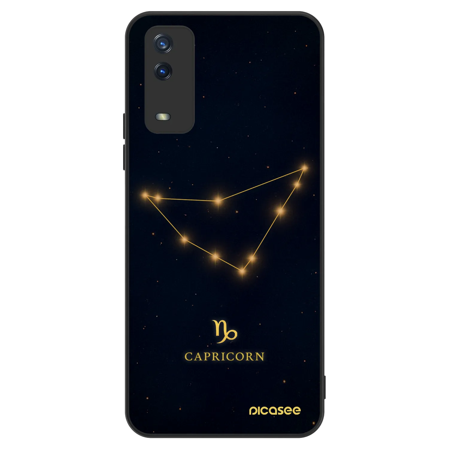 Picasee ULTIMATE CASE na Vivo Y11s - CAPRICORN