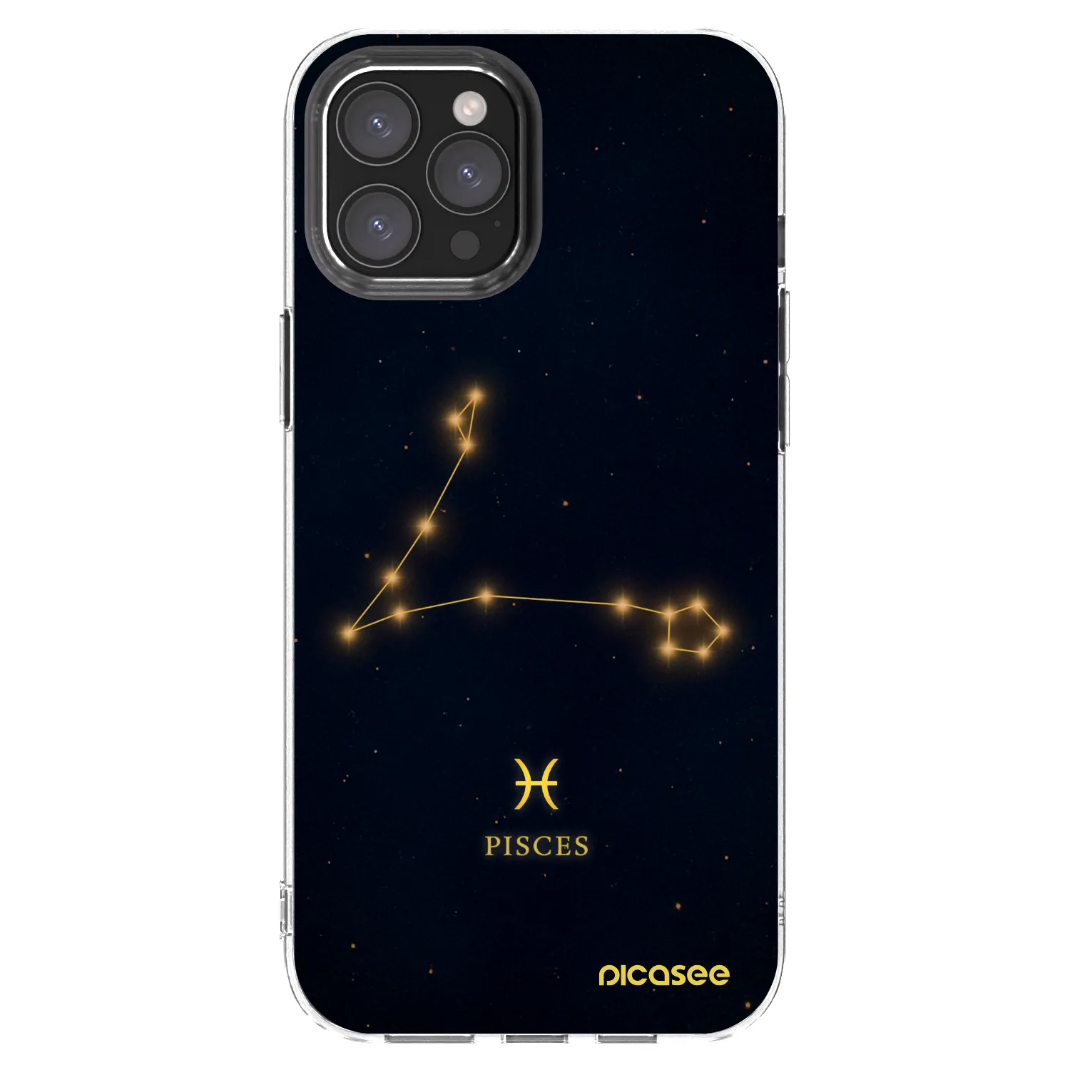 Picasee silikonowe przeźroczyste etui na Apple iPhone 12 Pro Max - PISCES