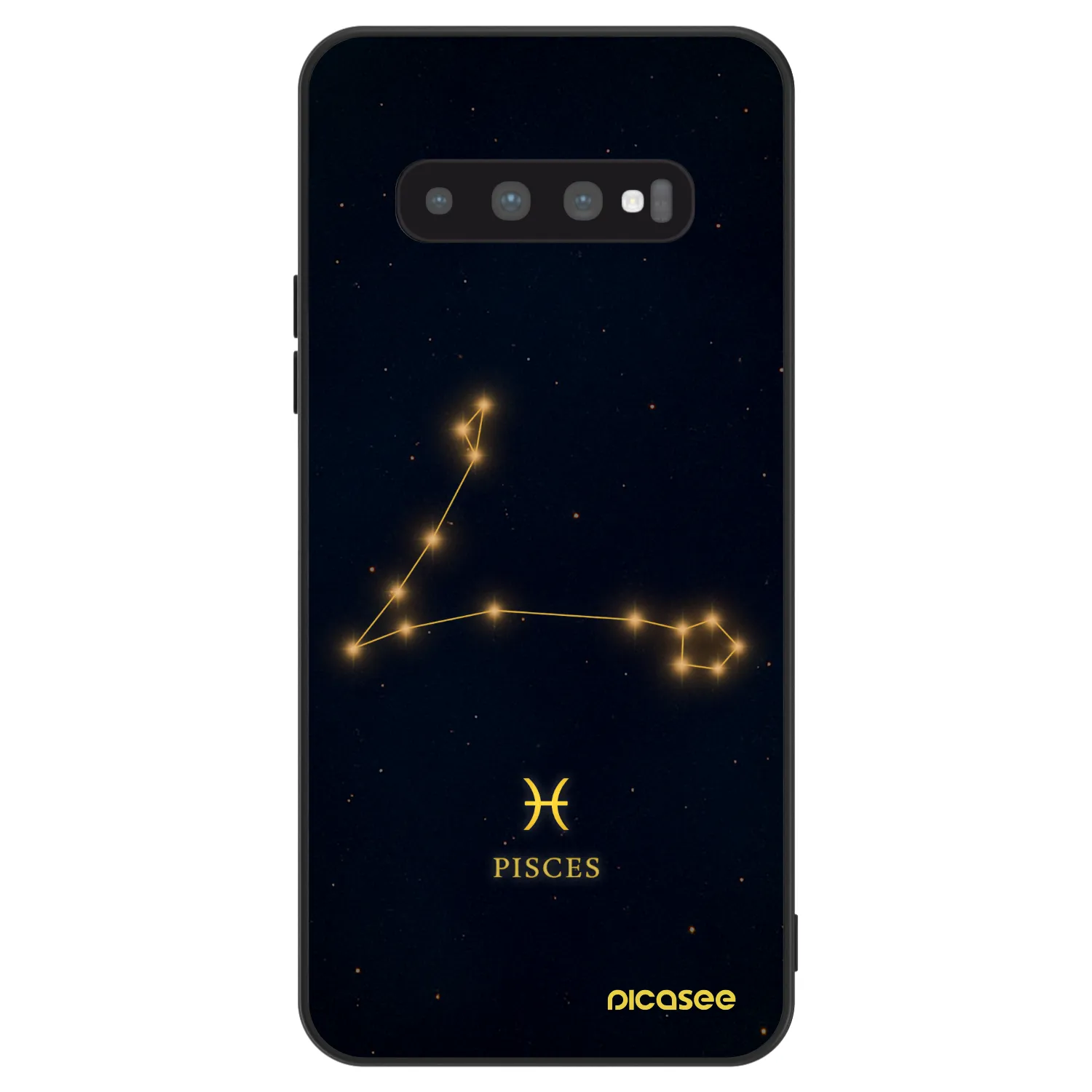Picasee ULTIMATE CASE na Samsung Galaxy S10 G973 - PISCES