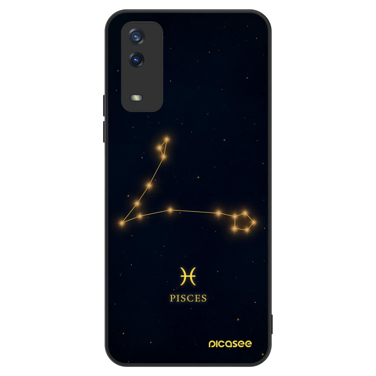 Picasee ULTIMATE CASE na Vivo Y11s - PISCES