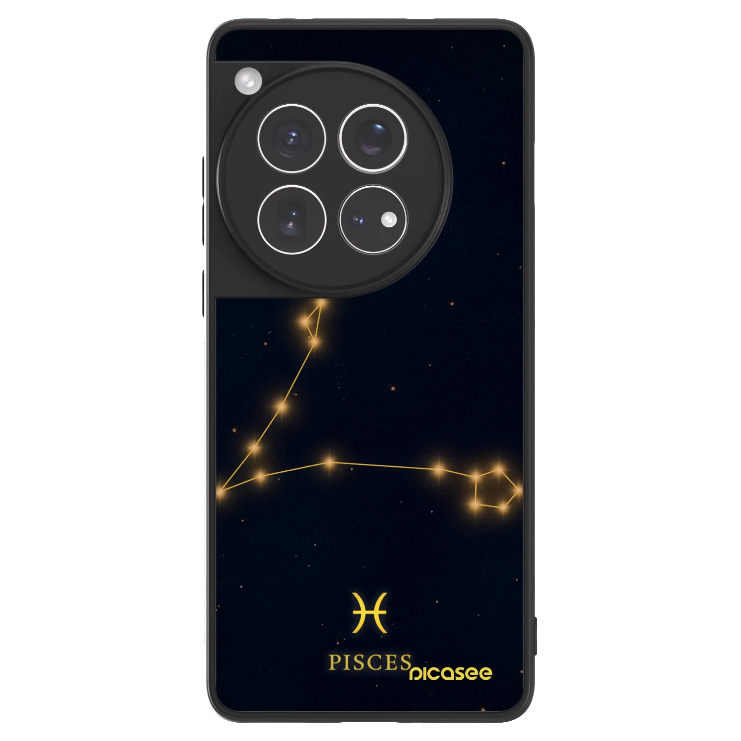 Picasee ULTIMATE CASE na OnePlus 12 5G - PISCES