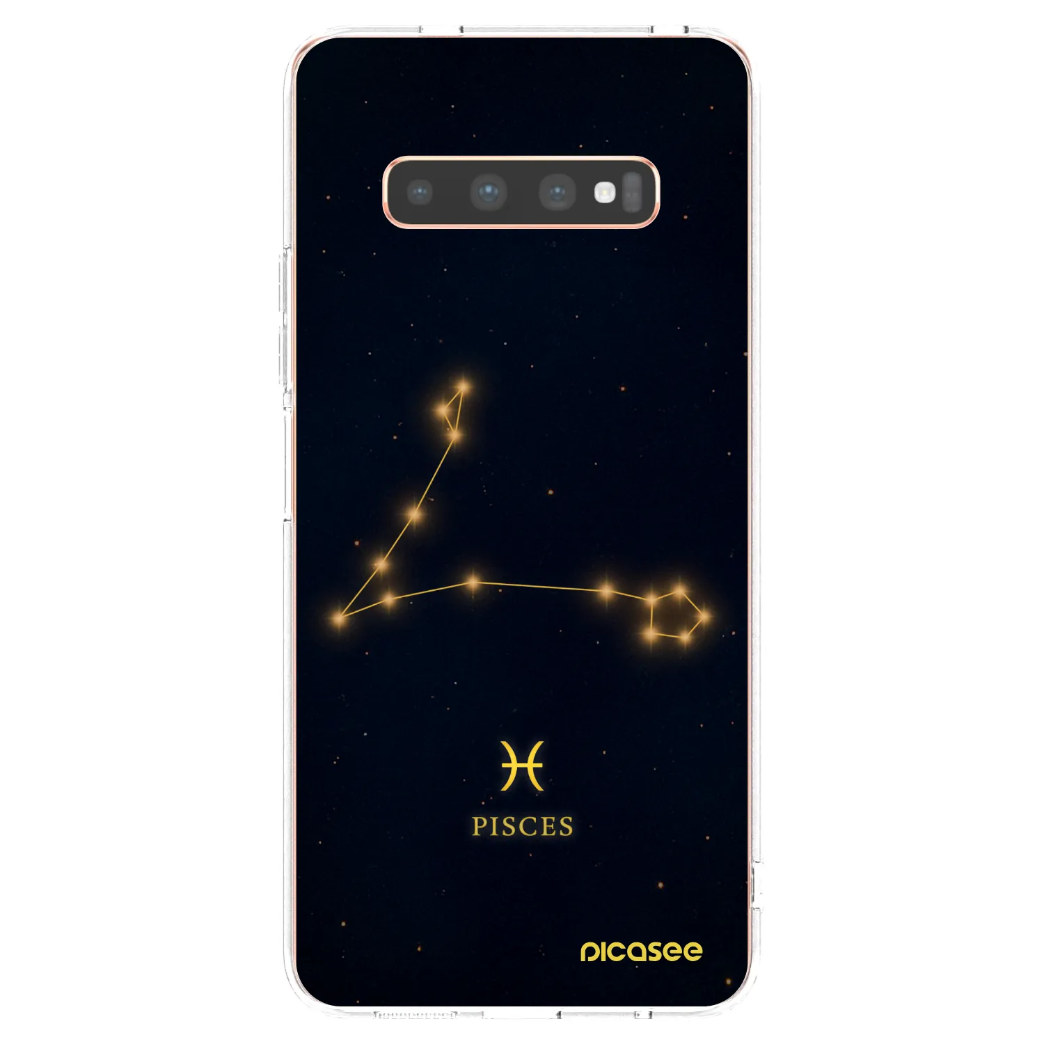 Picasee silikonowe przeźroczyste etui na Samsung Galaxy S10 Plus G975 - PISCES