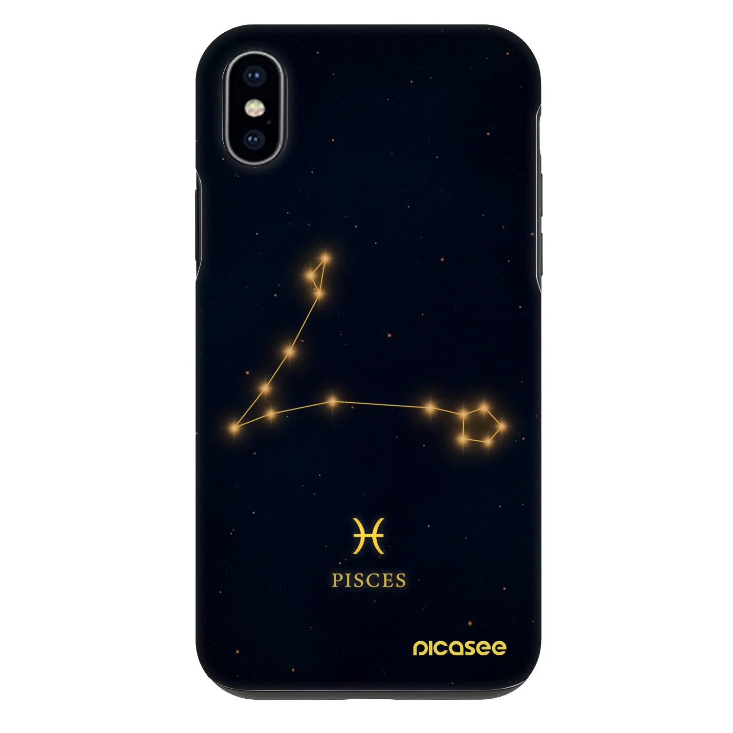 Picasee Fashion Case na Apple iPhone XS Max - PISCES