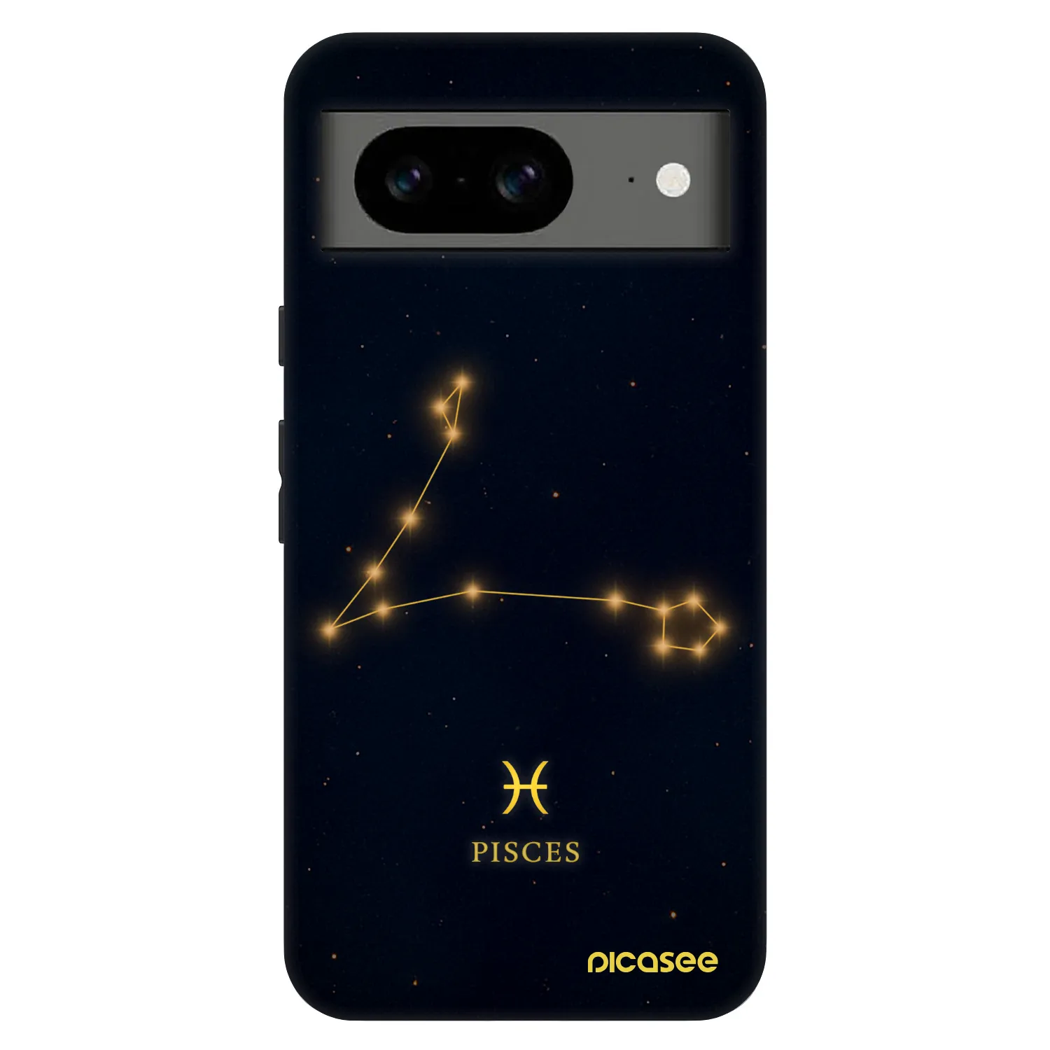 Picasee Fashion Case na Google Pixel 8 Pro - PISCES