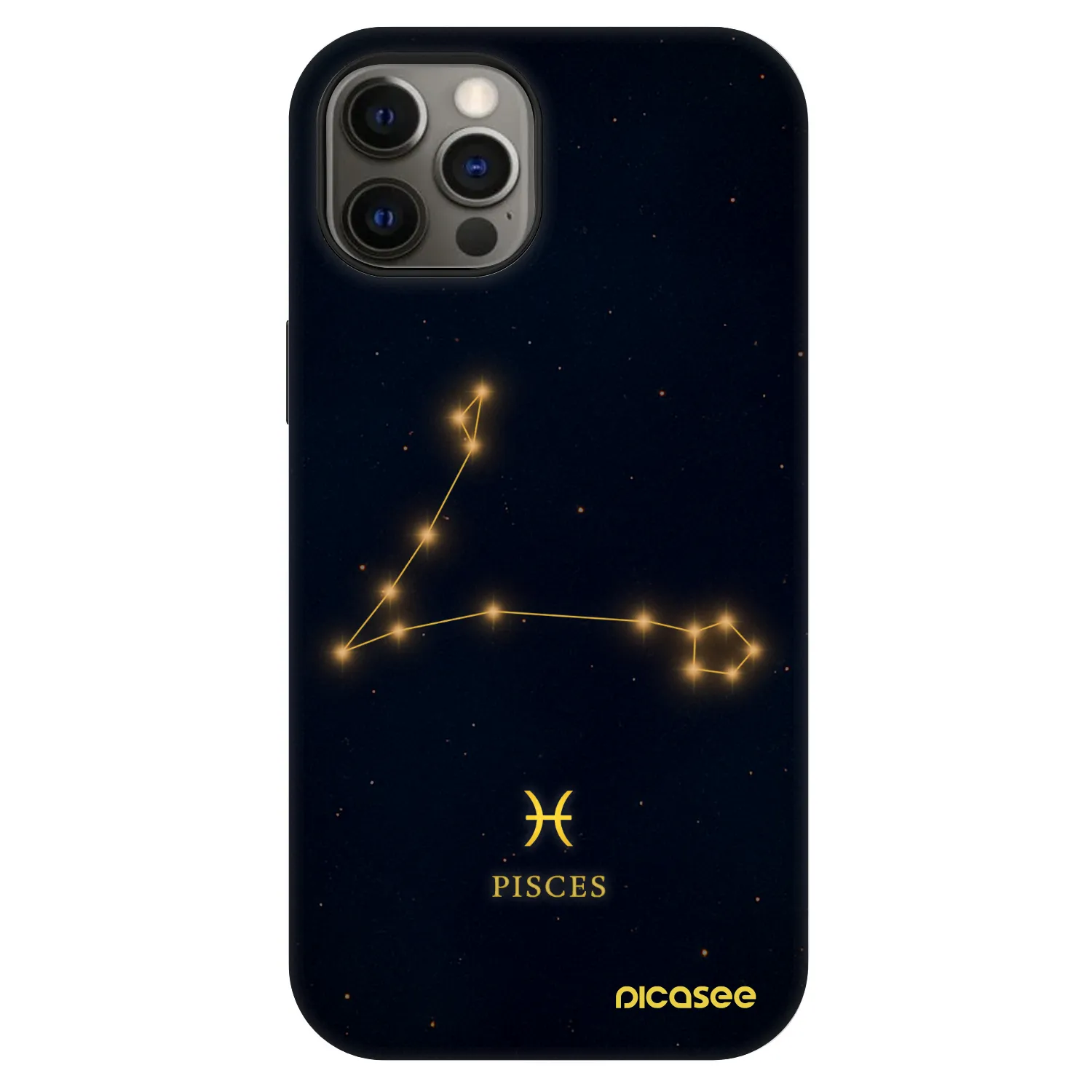 Picasee Fashion Case MagSafe na Apple iPhone 12 - PISCES