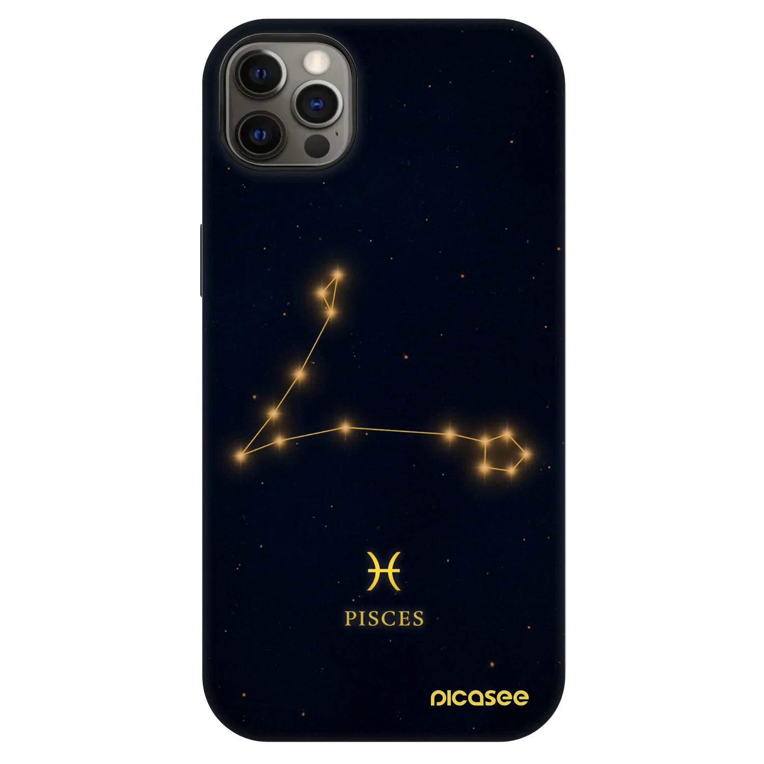 Picasee Fashion Case MagSafe na Apple iPhone 12 Pro Max - PISCES