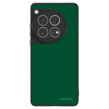 Picasee ULTIMATE CASE na OnePlus 12 5G - Green Gleam