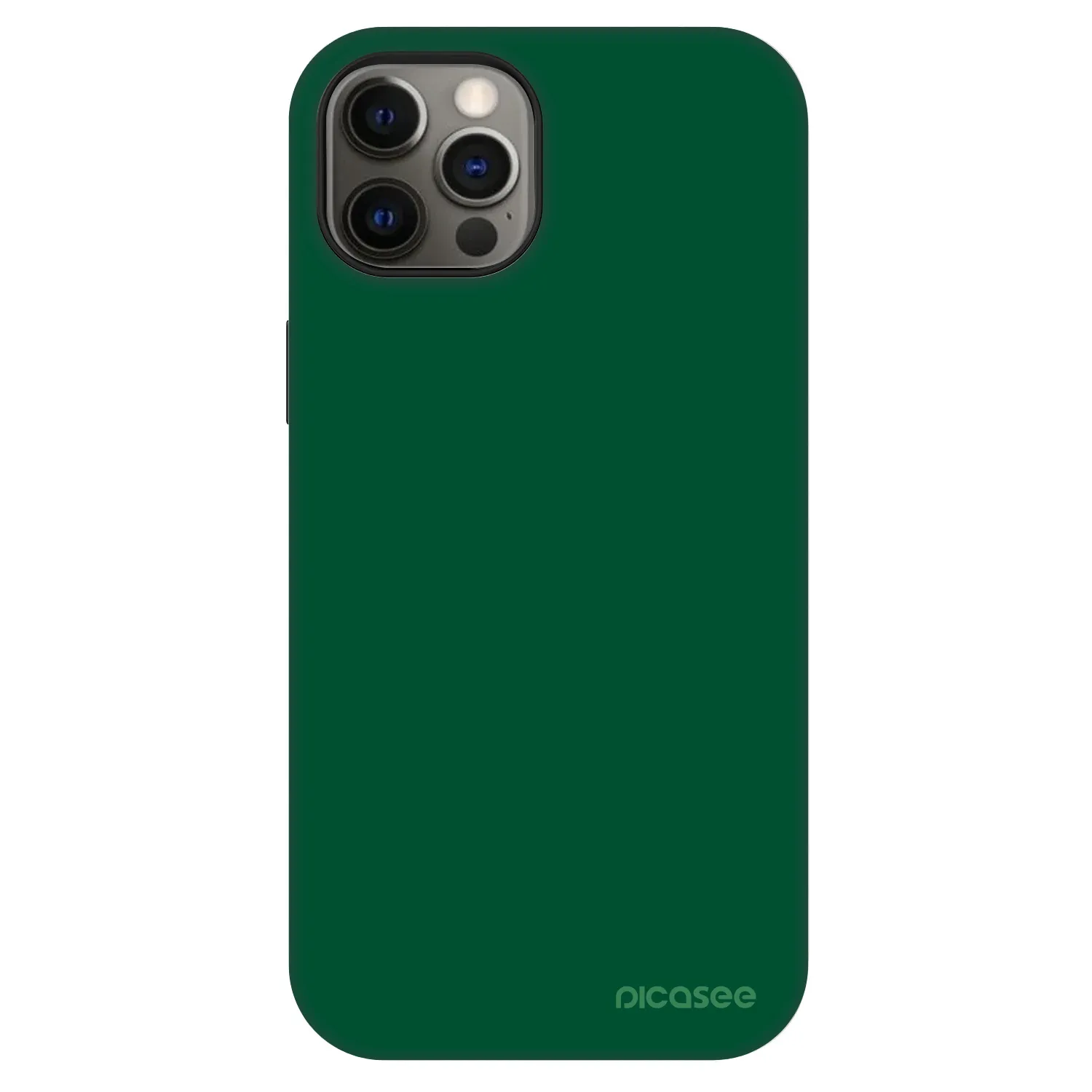 Picasee Fashion Case MagSafe na Apple iPhone 12 - Green Gleam
