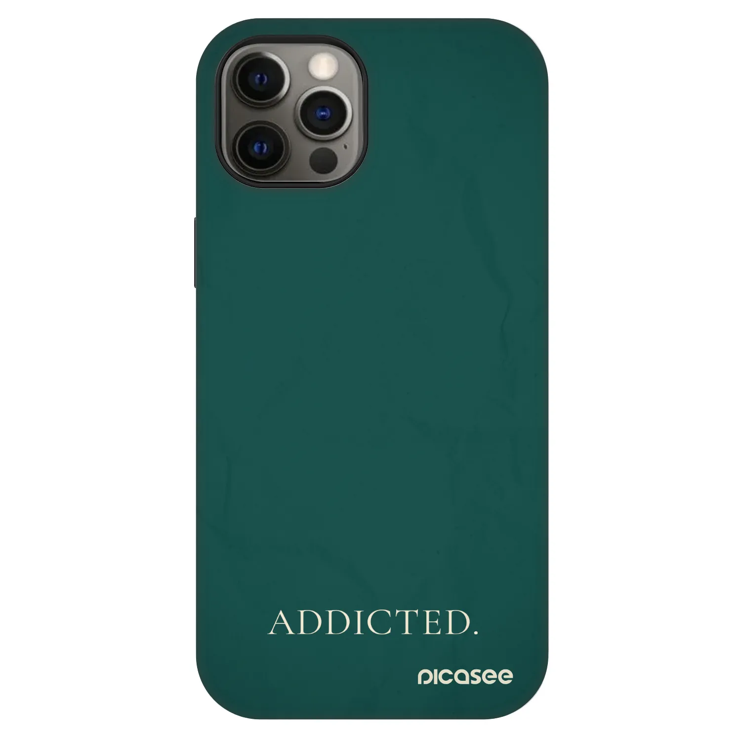 Picasee Fashion Case MagSafe na Apple iPhone 12 - Addicted