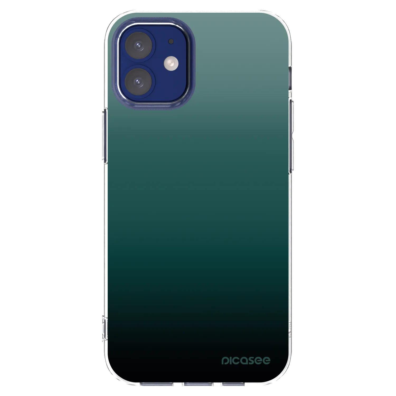 Picasee silikonowe przeźroczyste etui na Apple iPhone 12 mini - Verdant Fade