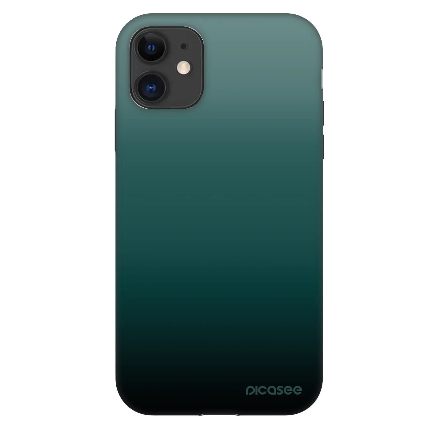 Picasee Fashion Case na Apple iPhone 11 - Verdant Fade