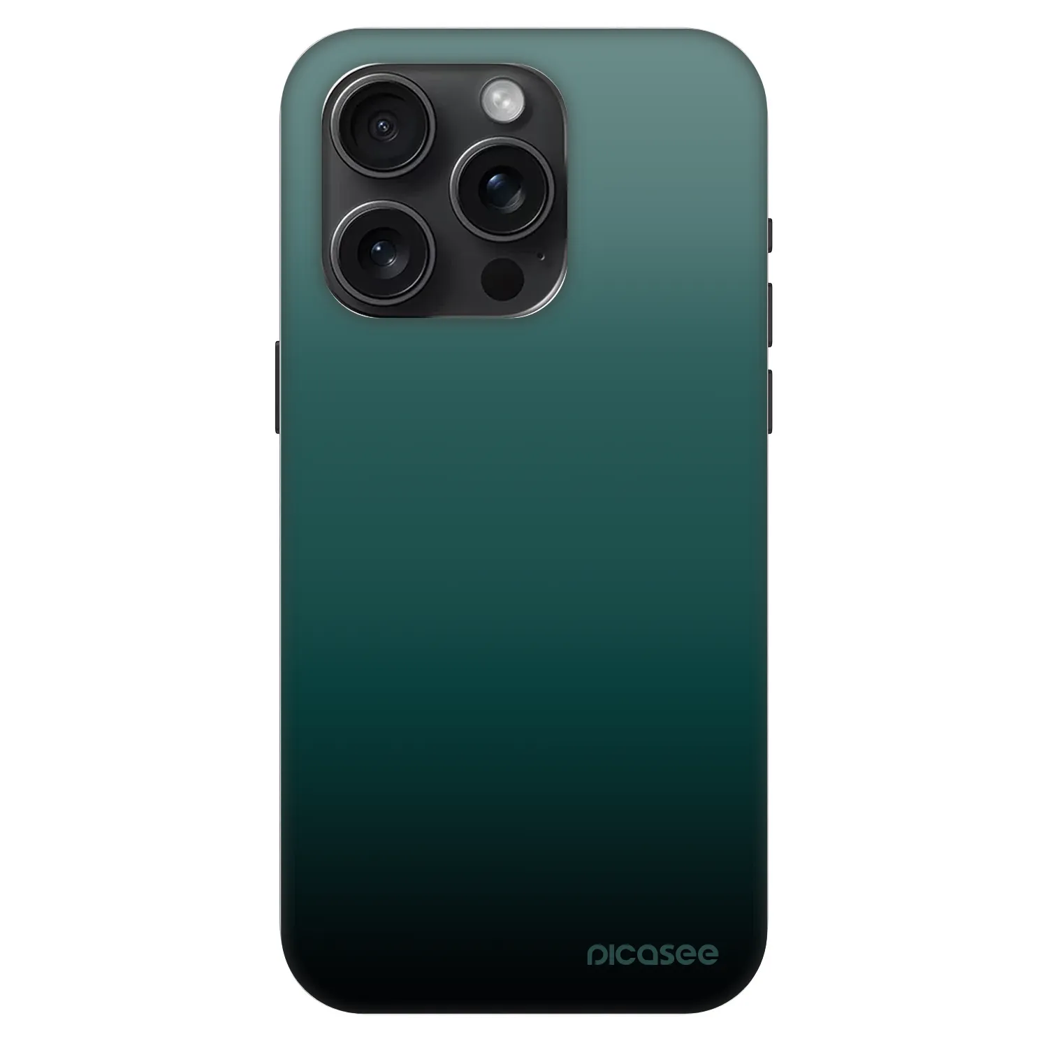 Picasee Fashion Case MagSafe na Apple iPhone 15 Pro - Verdant Fade