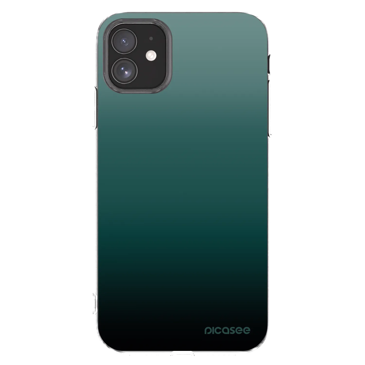 Picasee silikonowe przeźroczyste etui na Apple iPhone 11 - Verdant Fade