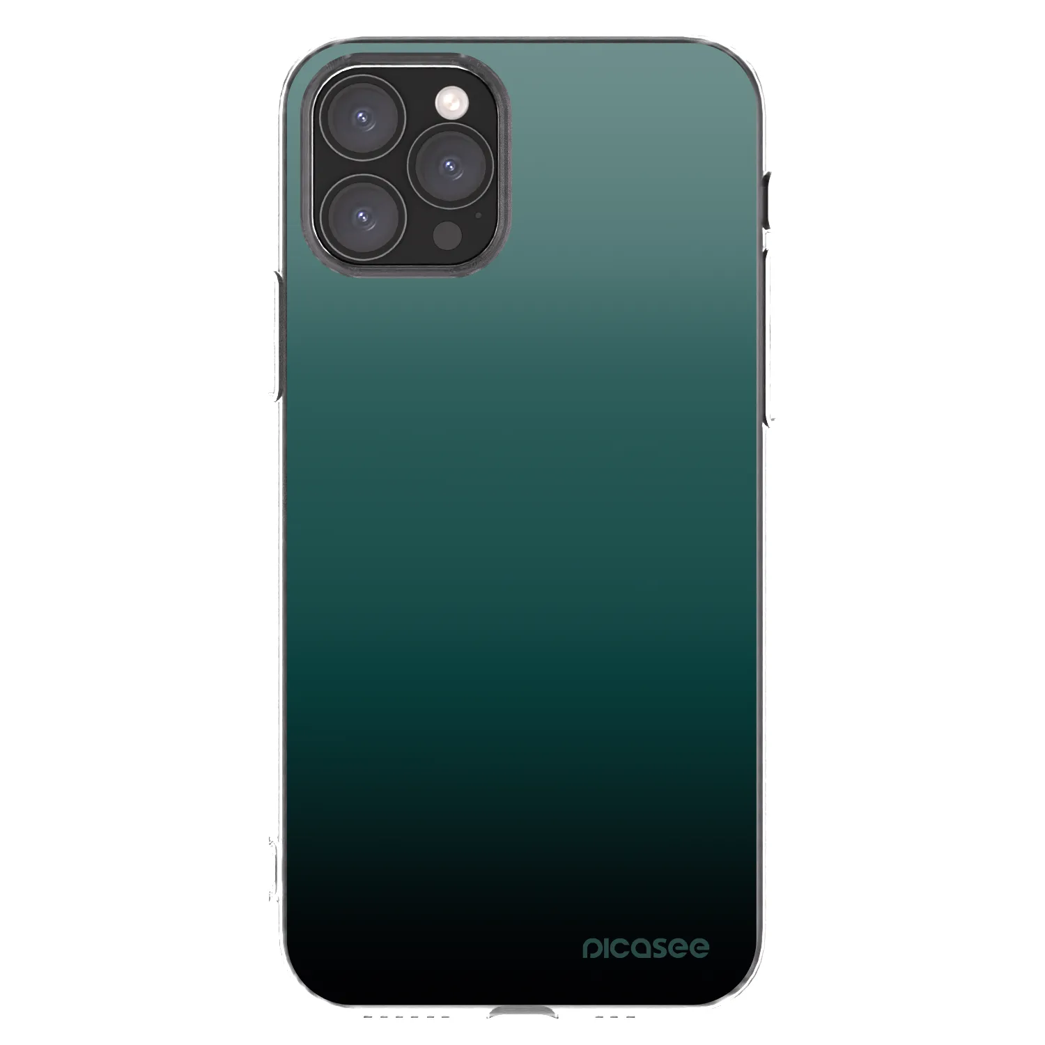 Picasee silikonowe przeźroczyste etui na Apple iPhone 11 Pro - Verdant Fade