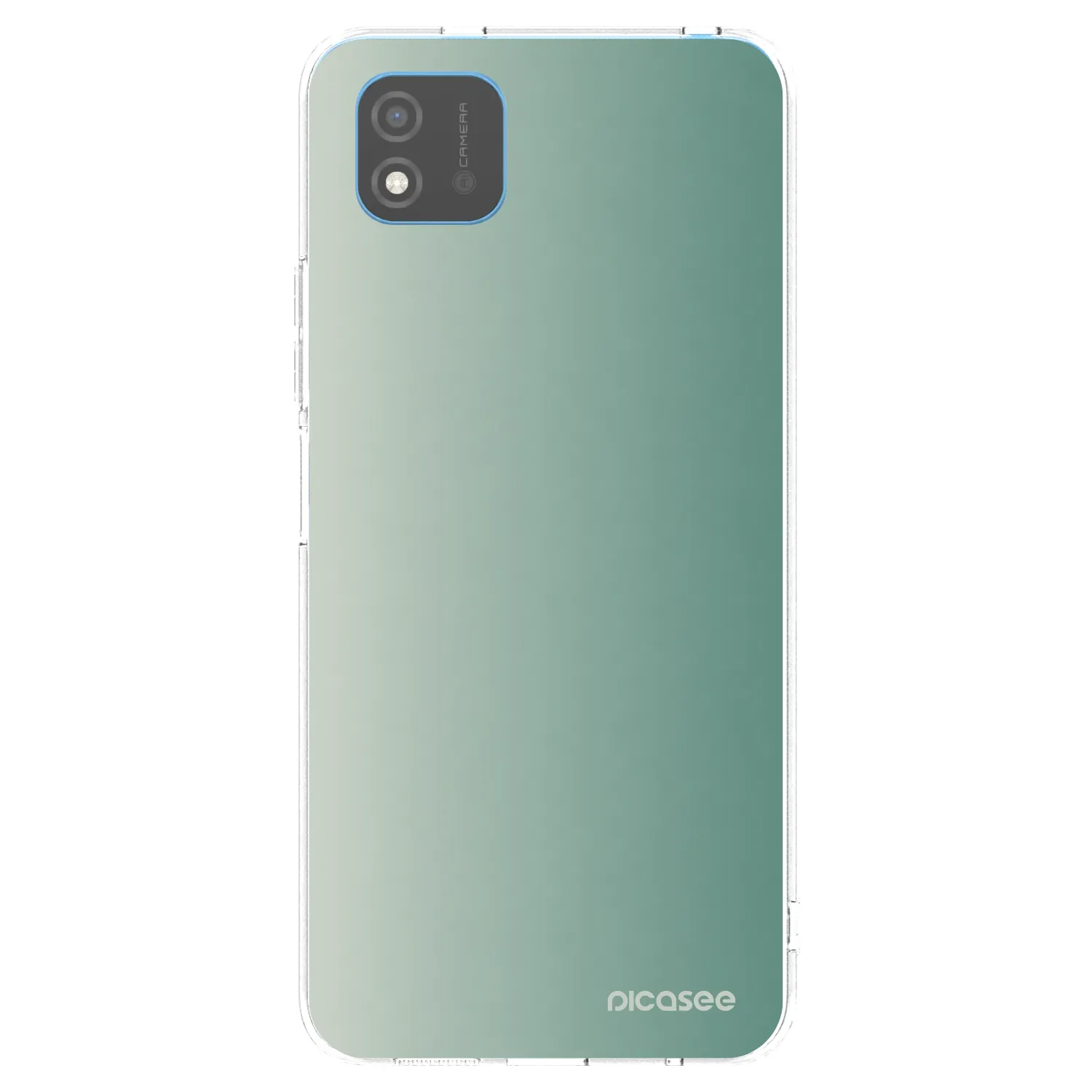 Picasee silikonowe przeźroczyste etui na Realme C11 (2021) - Misty Sage