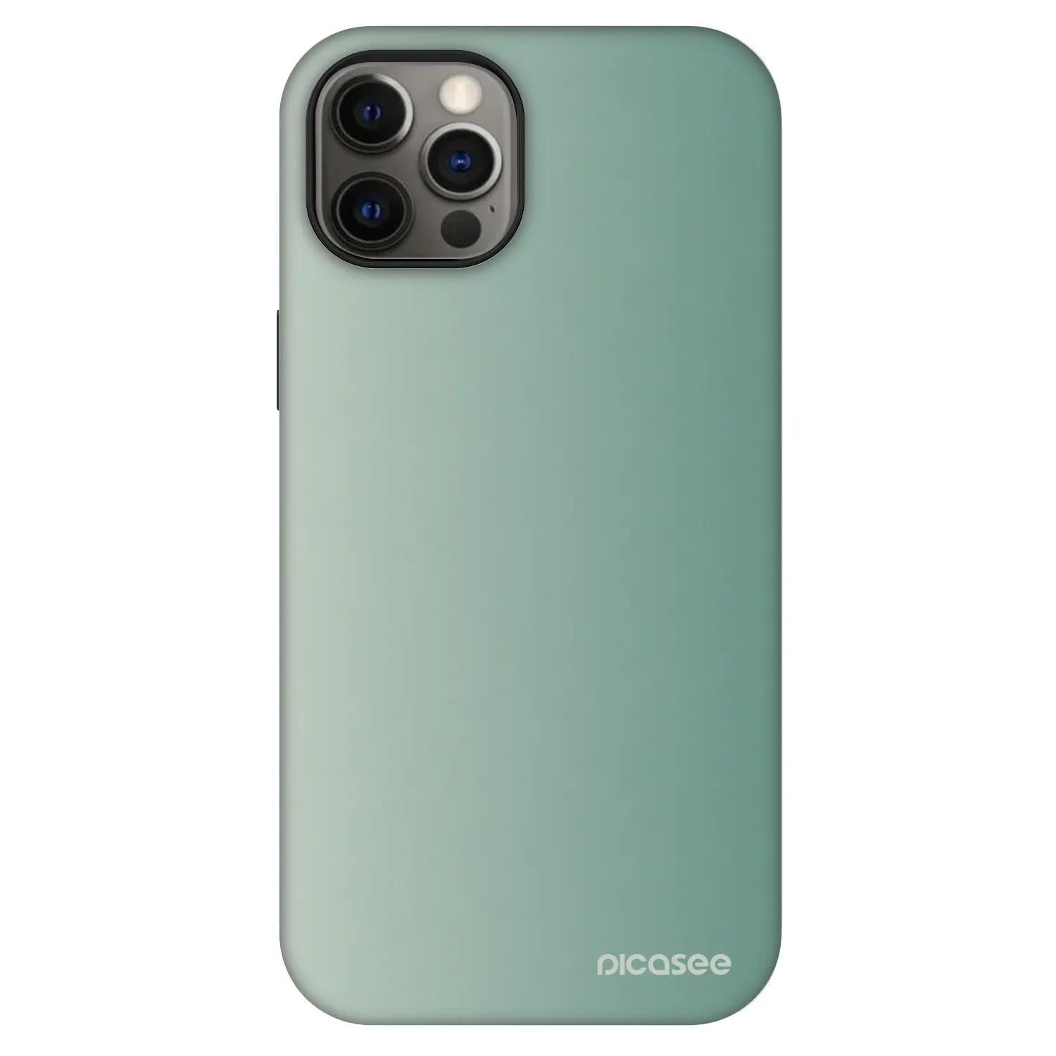 Picasee Fashion Case MagSafe na Apple iPhone 12 - Misty Sage